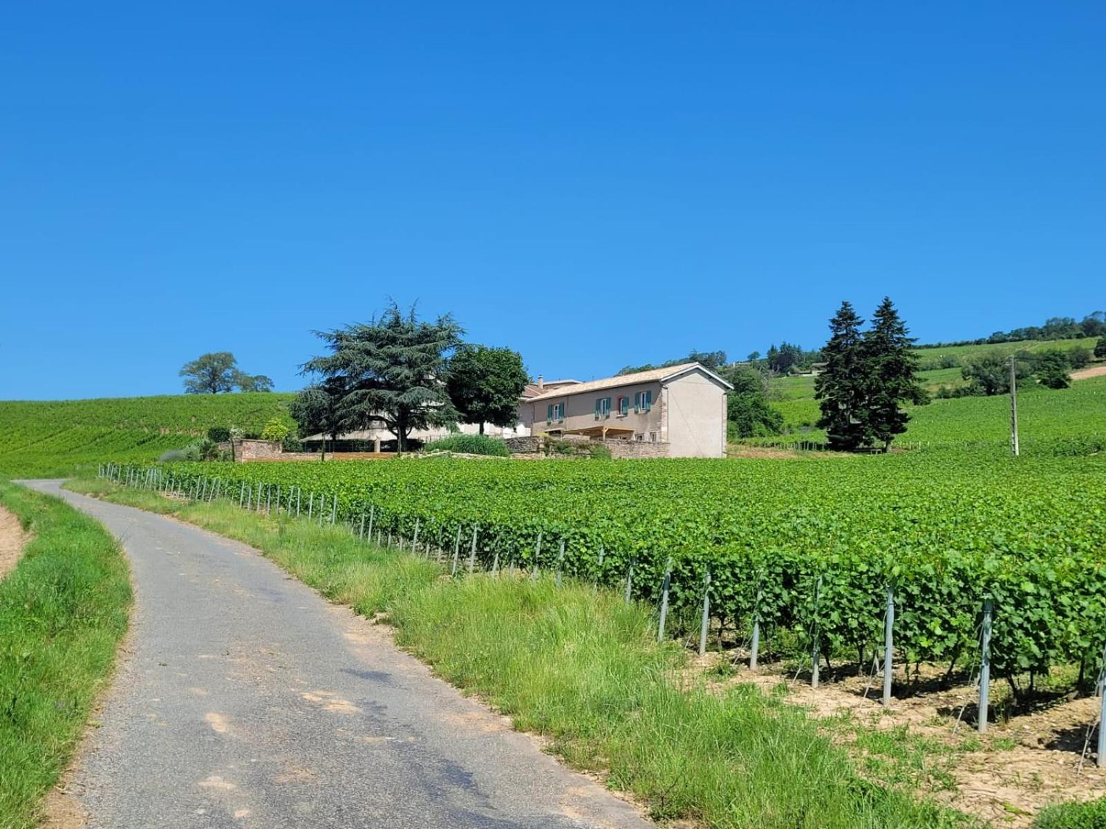 La Maison De Bruno Juliénas Exterior foto